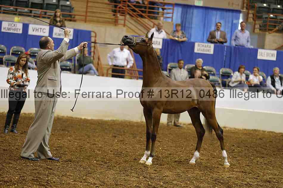 Proof 13r12_0486