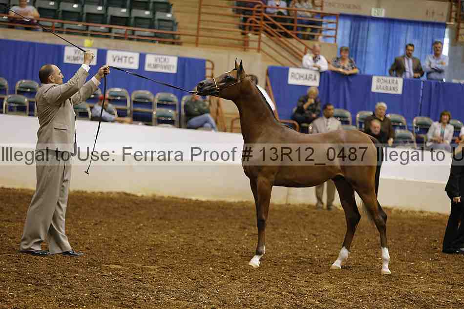 Proof 13r12_0487