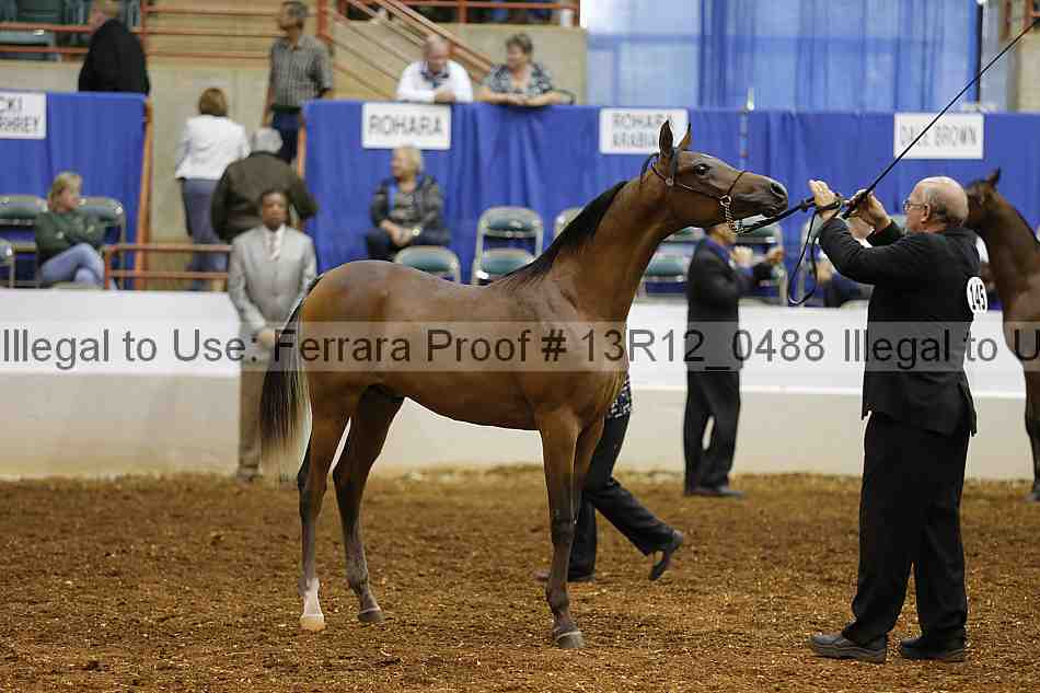 Proof 13r12_0488