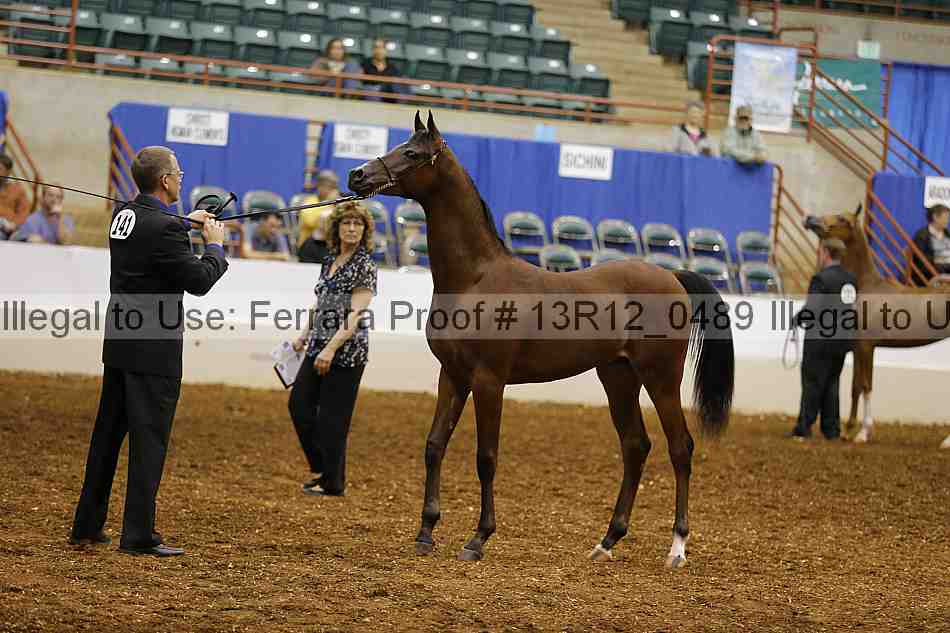 Proof 13r12_0489