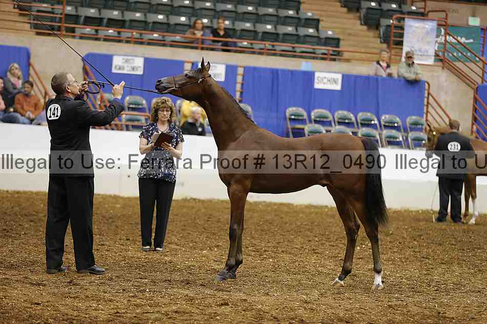 Proof 13r12_0490