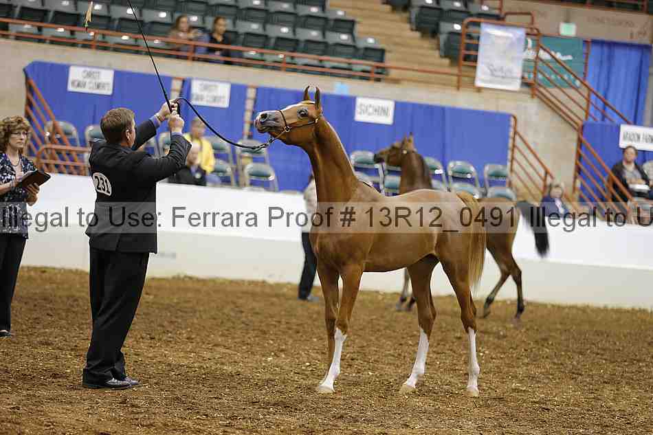 Proof 13r12_0491