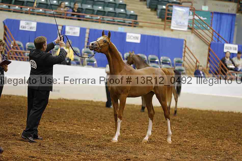Proof 13r12_0492
