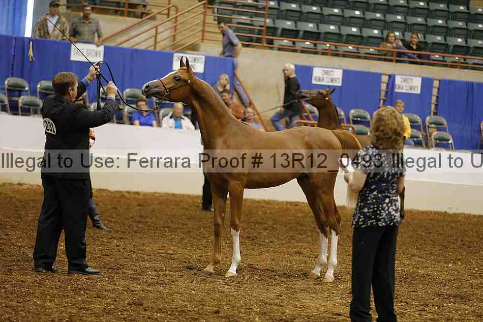 Proof 13r12_0493