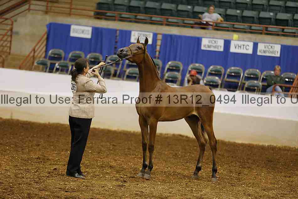 Proof 13r12_0494