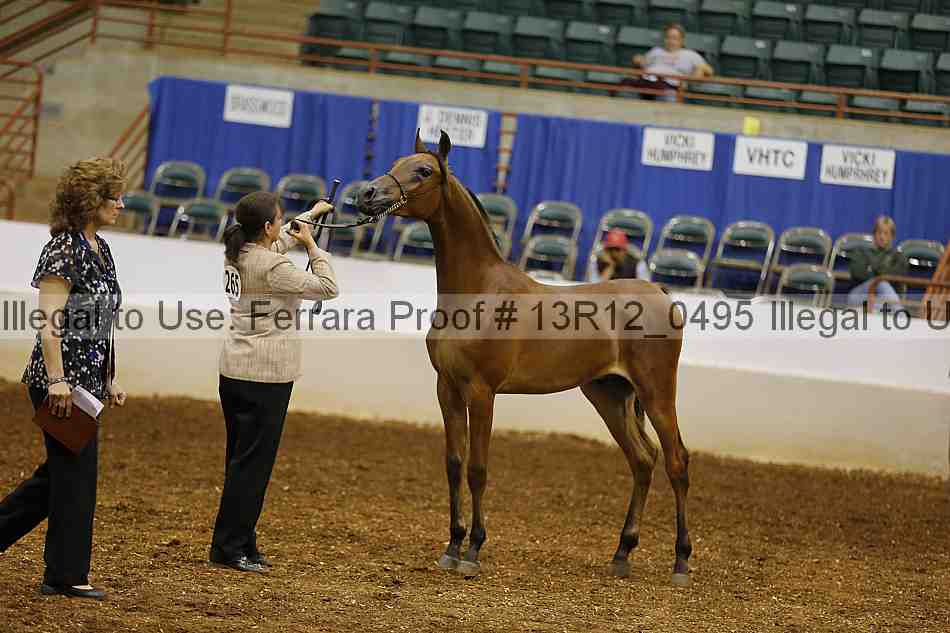 Proof 13r12_0495