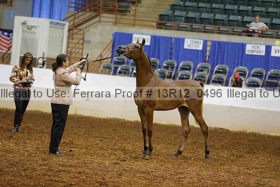 Proof 13r12_0496