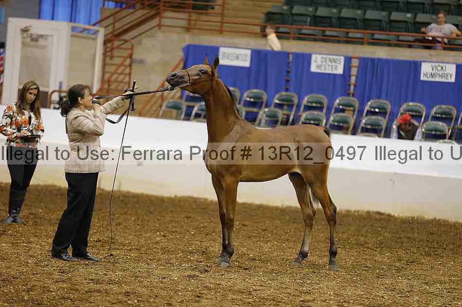 Proof 13r12_0497