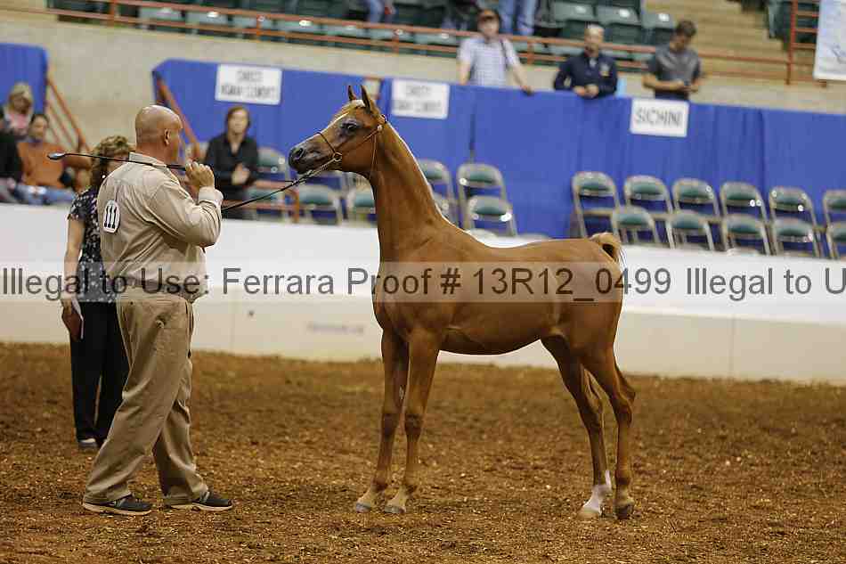 Proof 13r12_0499