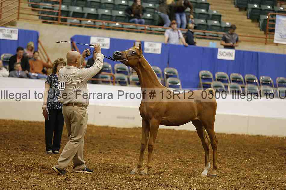 Proof 13r12_0500