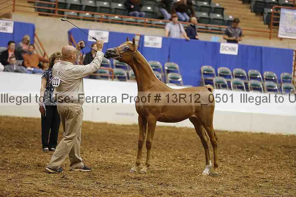 Proof 13r12_0501