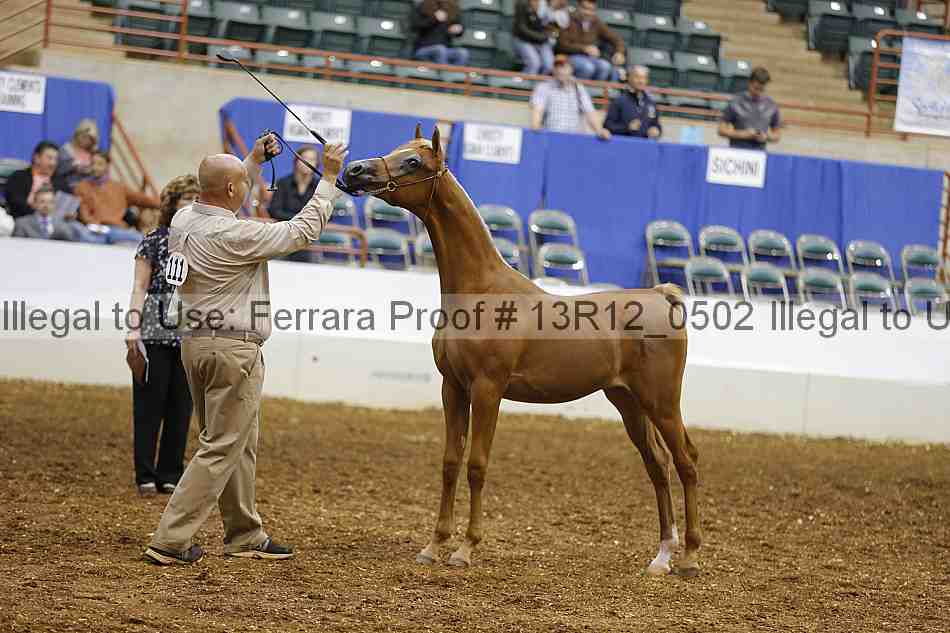 Proof 13r12_0502