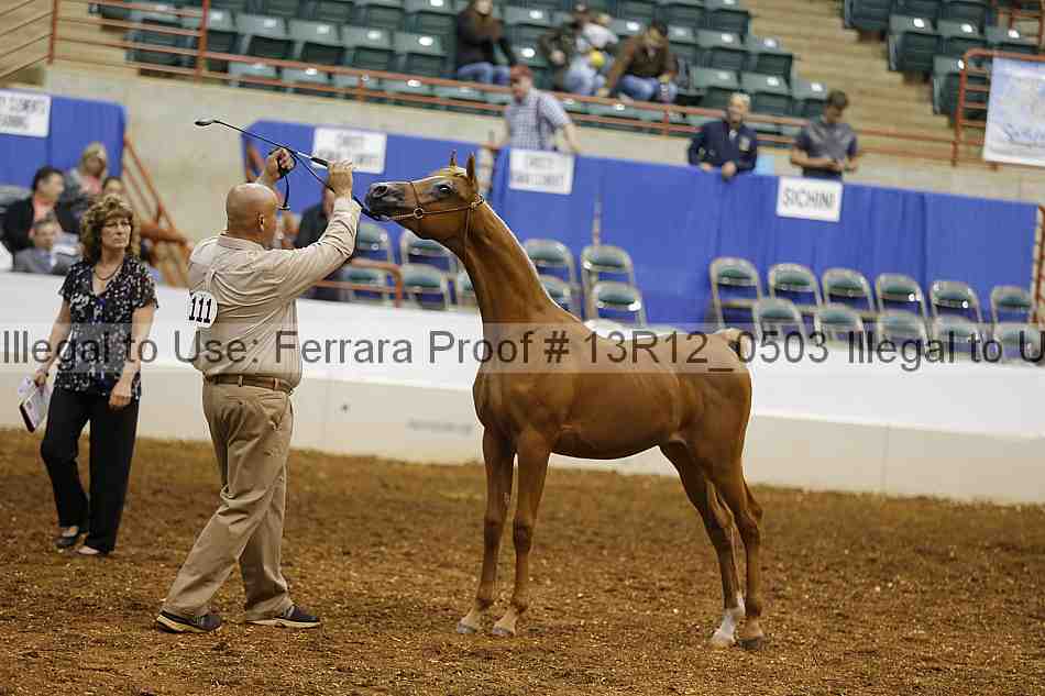 Proof 13r12_0503