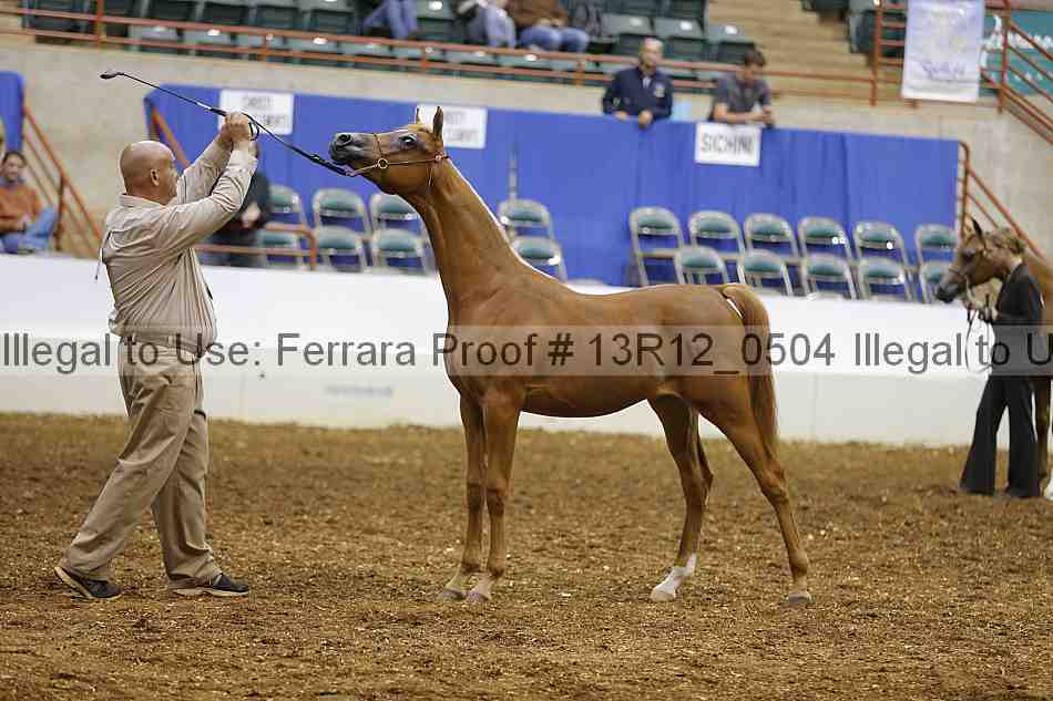 Proof 13r12_0504