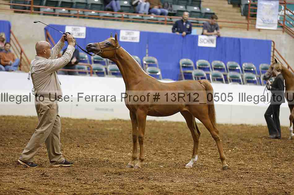 Proof 13r12_0505