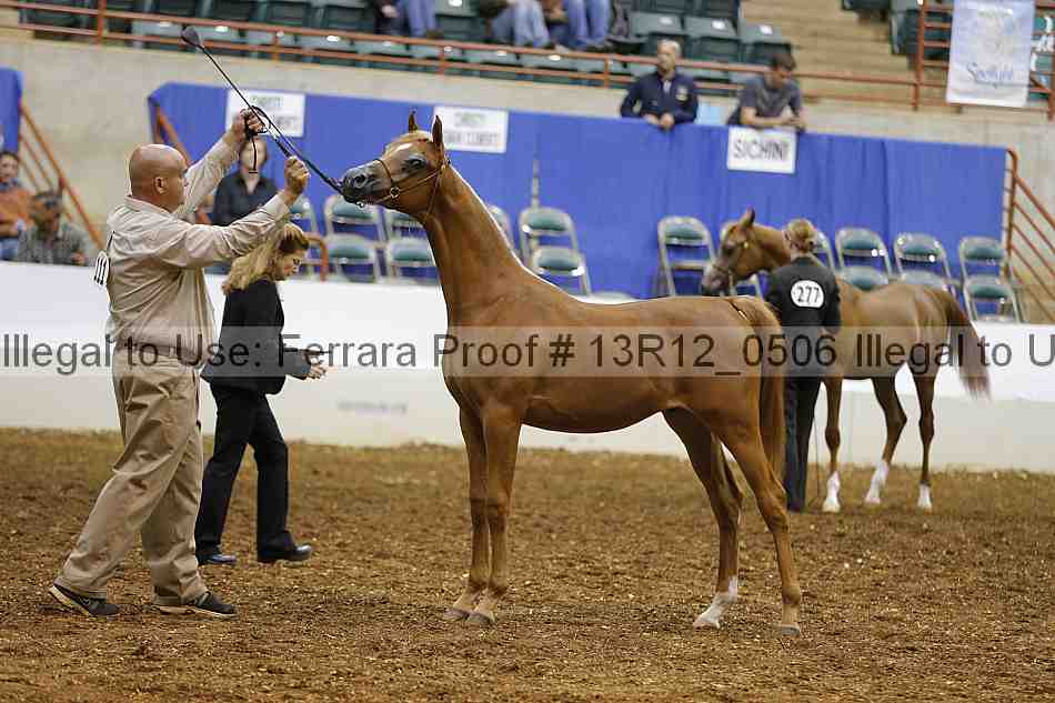Proof 13r12_0506