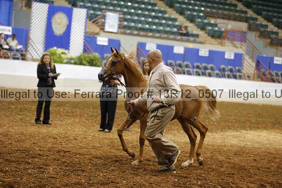 Proof 13r12_0507