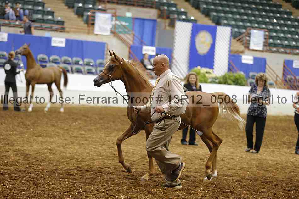 Proof 13r12_0508