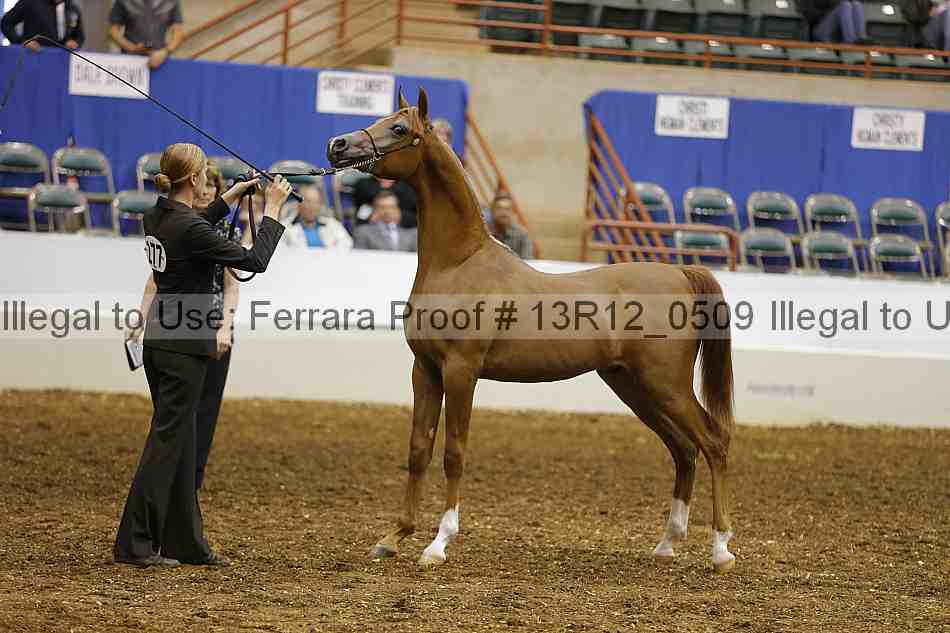 Proof 13r12_0509