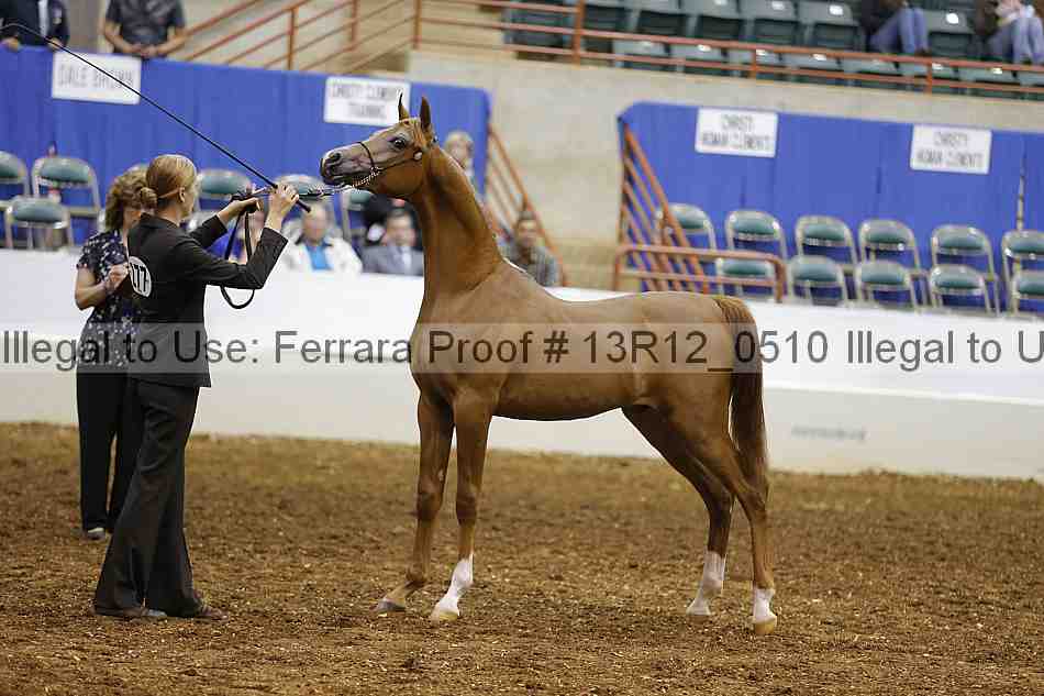 Proof 13r12_0510
