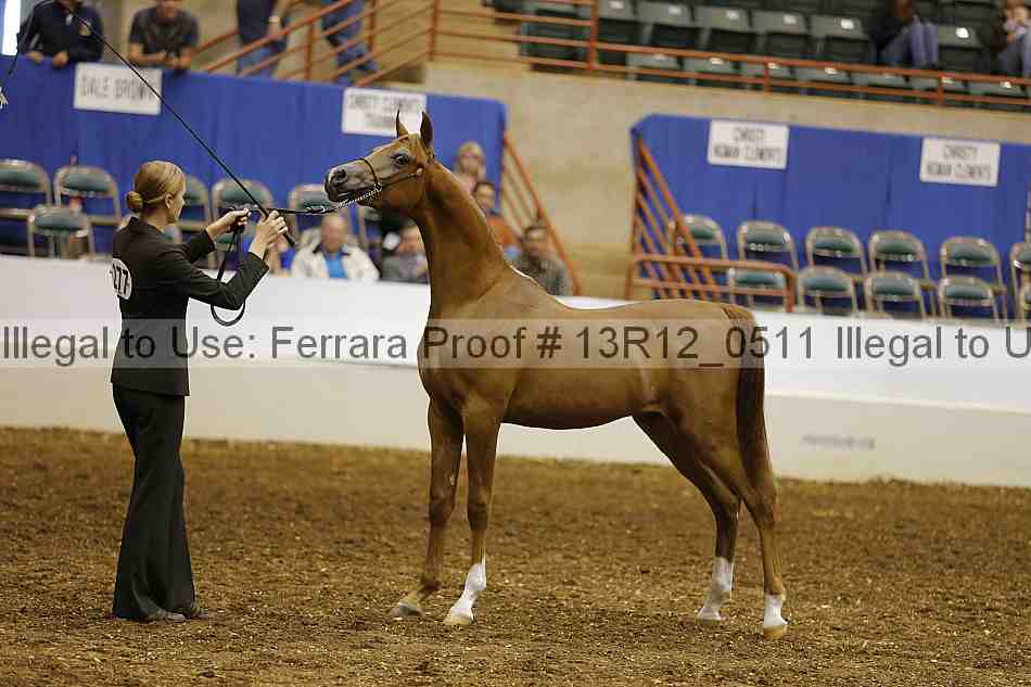Proof 13r12_0511