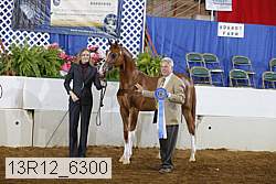 13r12_6300 proof