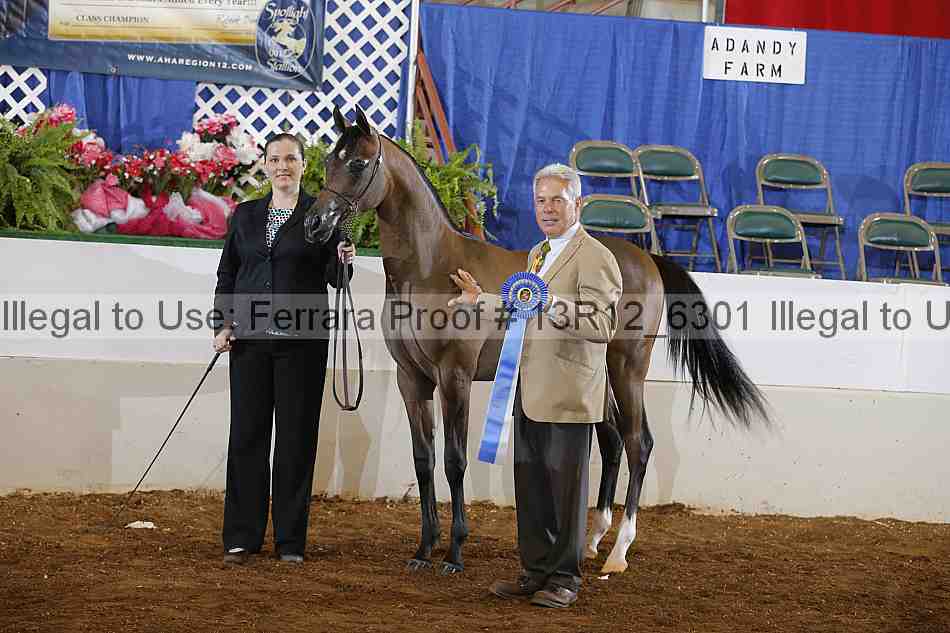Proof 13r12_6301