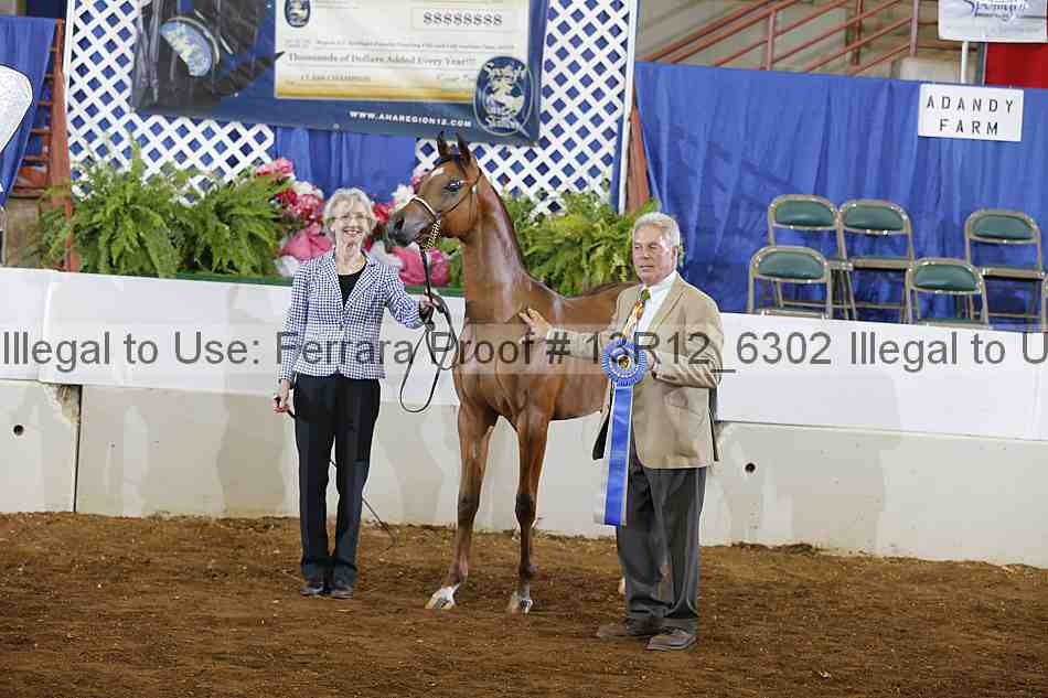 Proof 13r12_6302