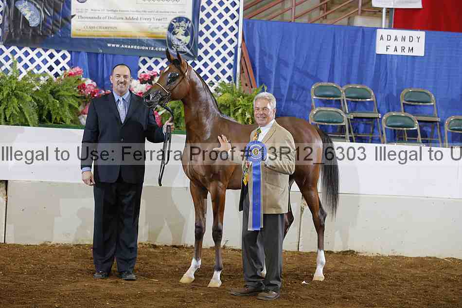 Proof 13r12_6303