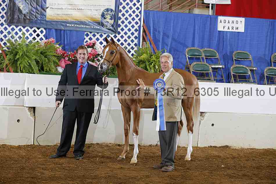 Proof 13r12_6305