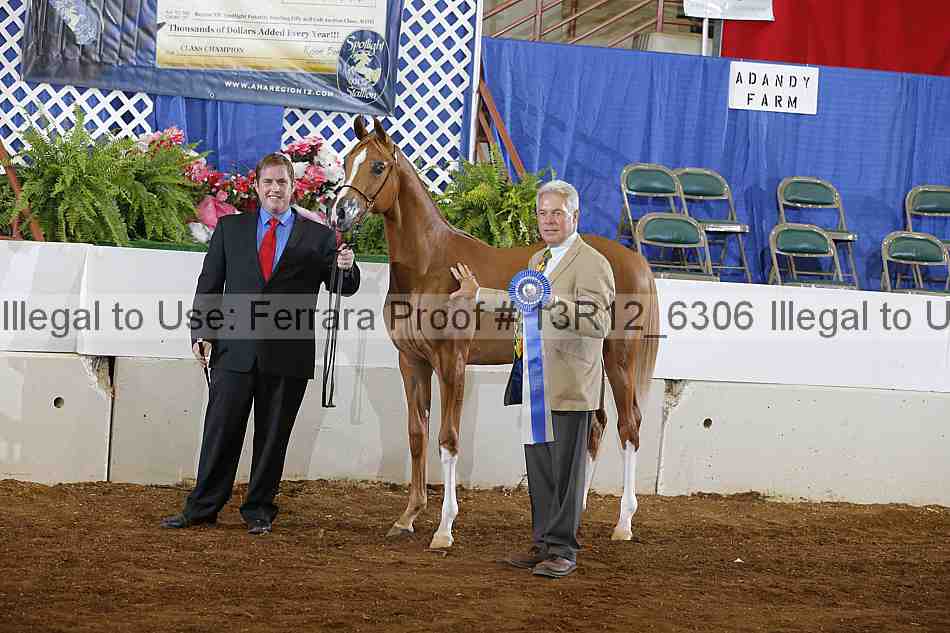 Proof 13r12_6306