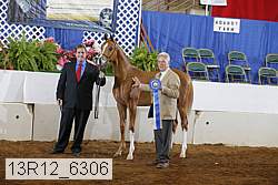 13r12_6306 proof