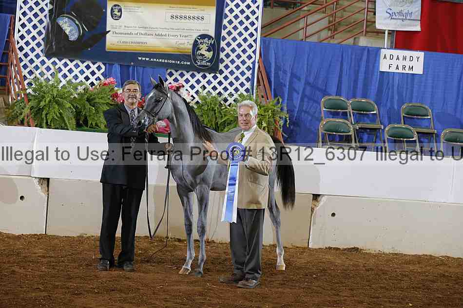 Proof 13r12_6307