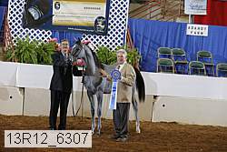 13r12_6307 proof