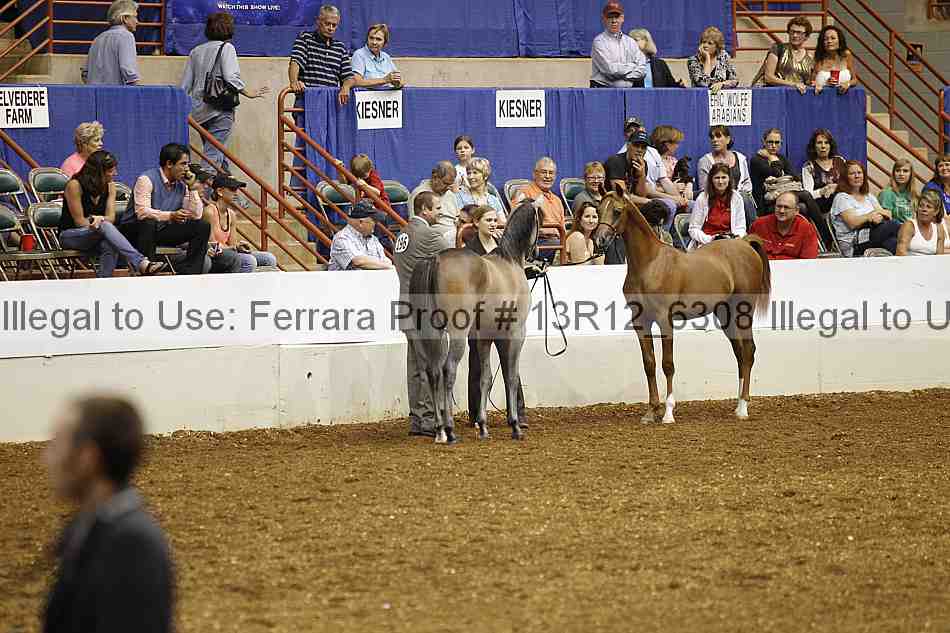 Proof 13r12_6308