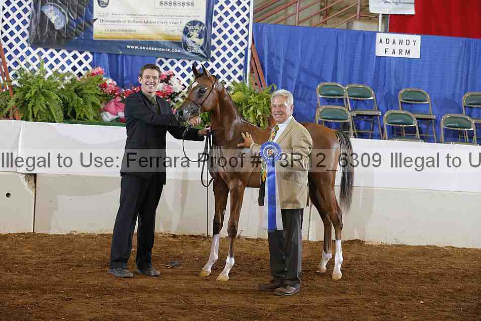 Proof 13r12_6309