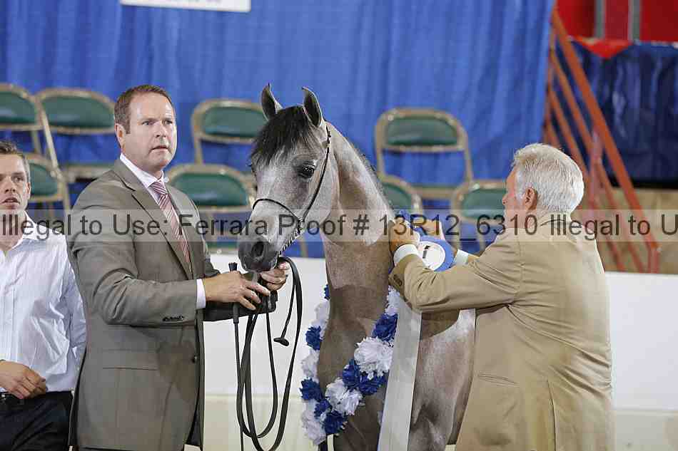 Proof 13r12_6310