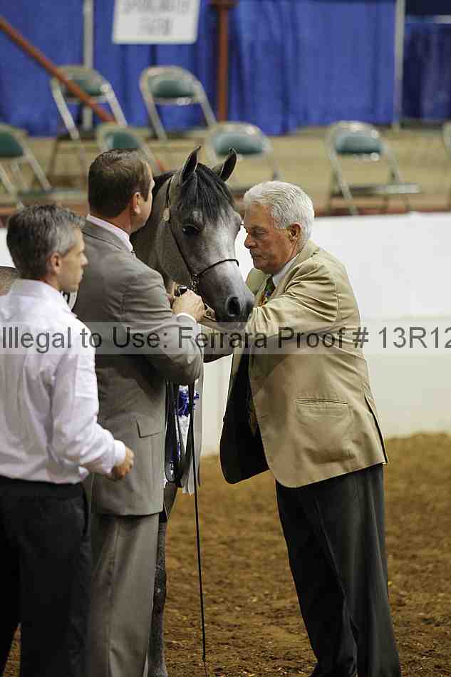 Proof 13r12_6311