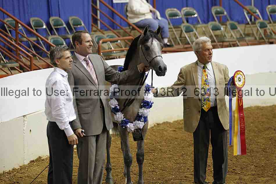 Proof 13r12_6313
