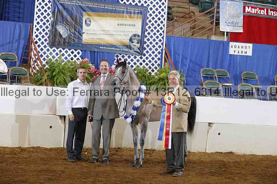 Proof 13r12_6314