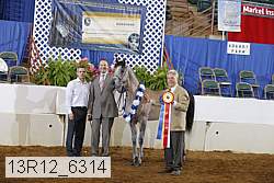 13r12_6314 proof