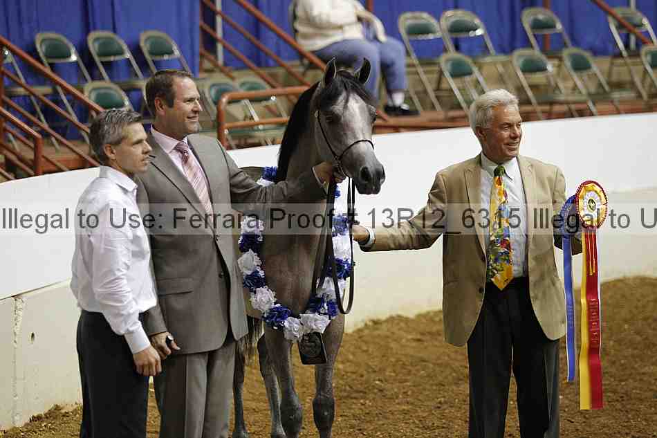 Proof 13r12_6315