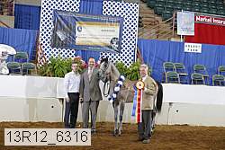 13r12_6316 proof