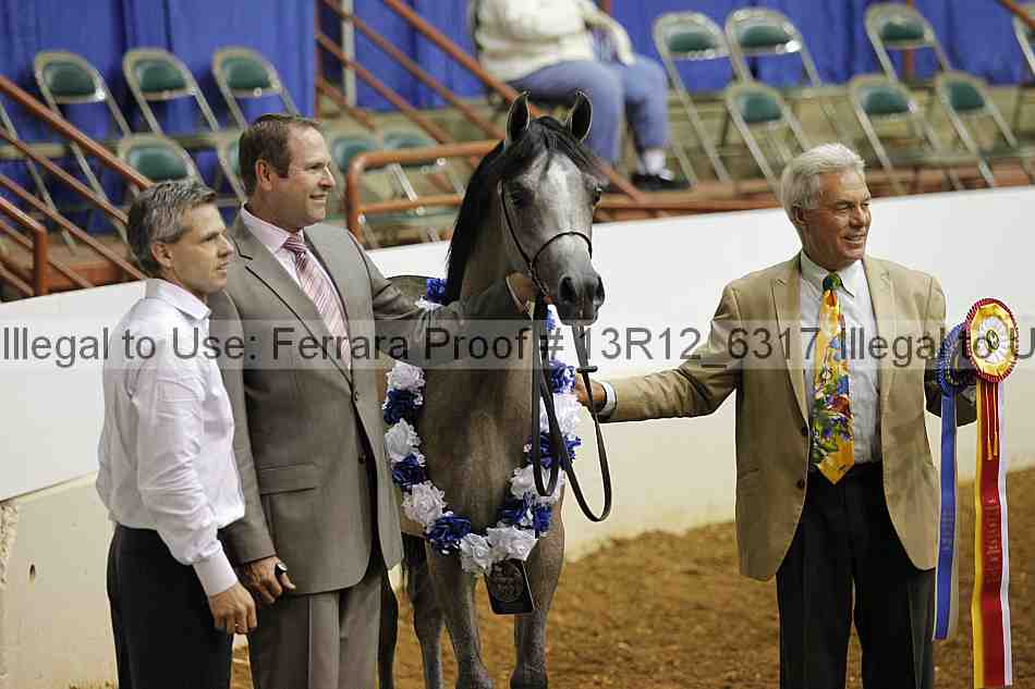 Proof 13r12_6317