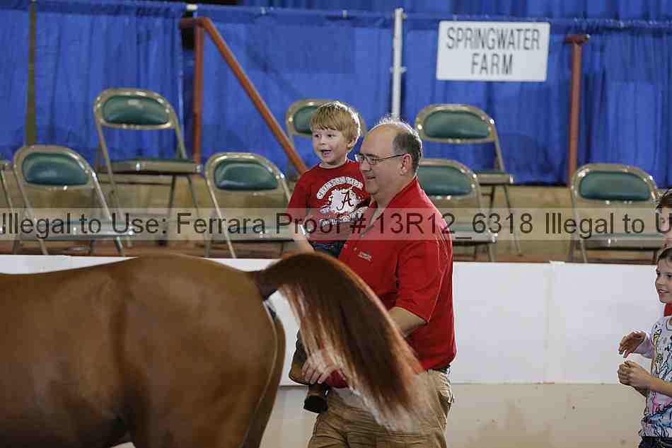 Proof 13r12_6318