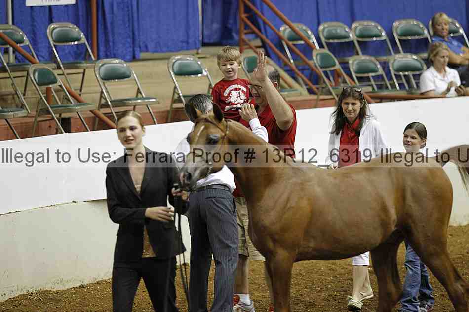 Proof 13r12_6319