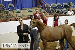 13r12_6319 proof