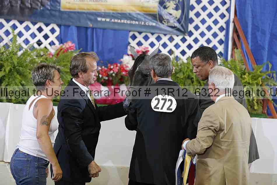 Proof 13r12_6322