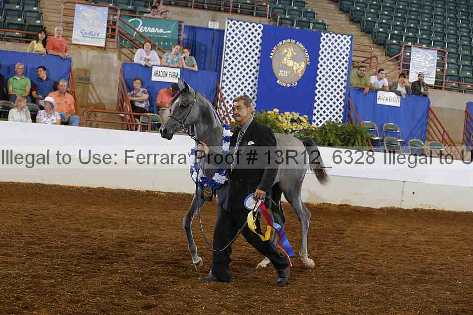 Proof 13r12_6328