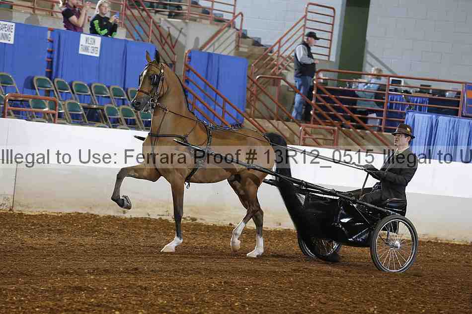 Proof 13r12_0515